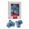 Orchid en azyme couleur bleu 8,5 -7,5cm