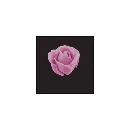 DOUILLE GEANTE ROSE / PETAL - 127D